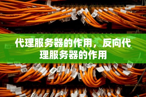 代理服务器的作用，反向代理服务器的作用