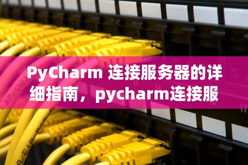 PyCharm 连接服务器的详细指南，pycharm连接服务器跑代码