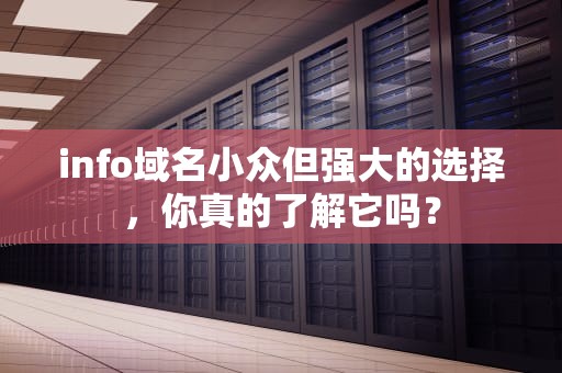 info域名小众但强大的选择，你真的了解它吗？