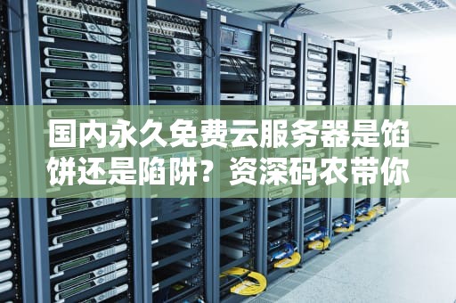 国内永久免费云服务器是馅饼还是陷阱？资深码农带你揭秘真相！