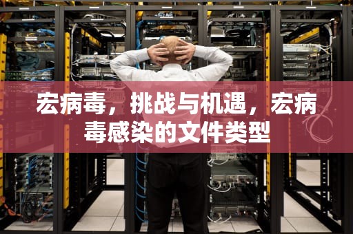宏病毒，挑战与机遇，宏病毒感染的文件类型