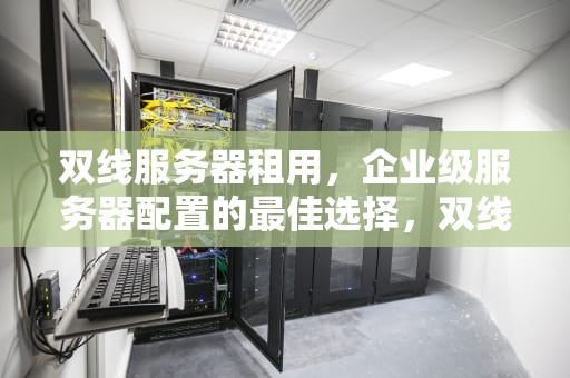 双线服务器租用，企业级服务器配置的最佳选择，双线服务器租用价格