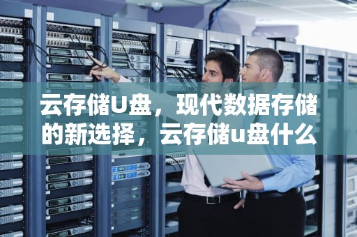 云存储U盘，现代数据存储的新选择，云存储u盘什么意思