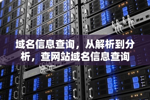 域名信息查询，从解析到分析，查网站域名信息查询