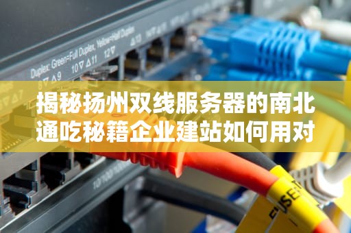 揭秘扬州双线服务器的南北通吃秘籍企业建站如何用对网络立交桥？