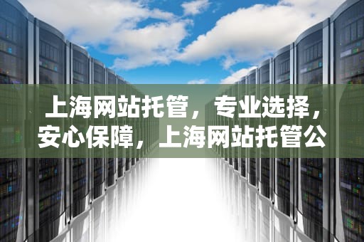 上海网站托管，专业选择，安心保障，上海网站托管公司