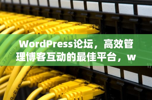WordPress论坛，高效管理博客互动的最佳平台，wordpress论坛主题
