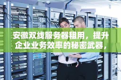 安徽双线服务器租用，提升企业业务效率的秘密武器，安徽双线服务器租用多少钱