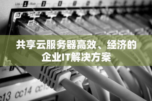 共享云服务器高效、经济的企业IT解决方案