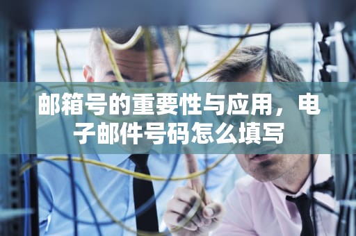 邮箱号的重要性与应用，电子邮件号码怎么填写