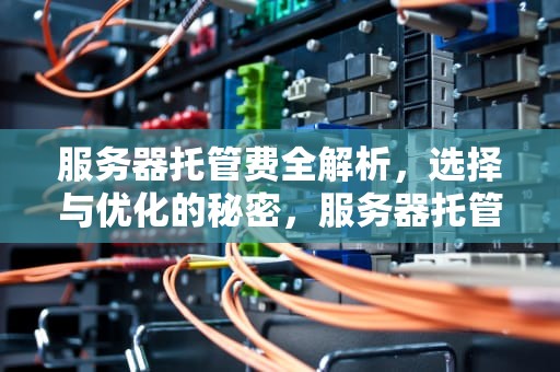 服务器托管费全解析，选择与优化的秘密，服务器托管费用