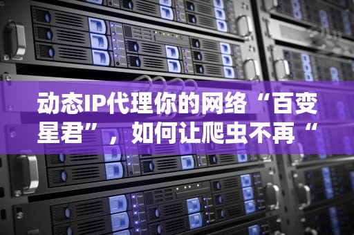 动态IP代理你的网络“百变星君”，如何让爬虫不再“裸奔”？