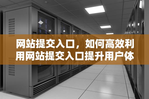 网站提交入口，如何高效利用网站提交入口提升用户体验，网站提交入口百度