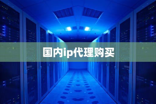 国内ip代理购买
