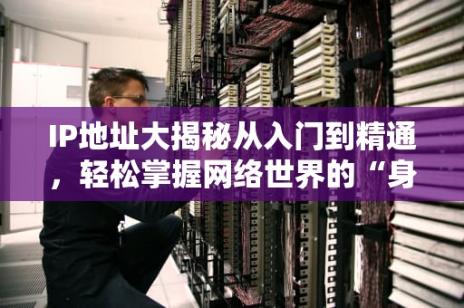 IP地址大揭秘从入门到精通，轻松掌握网络世界的“身份证”