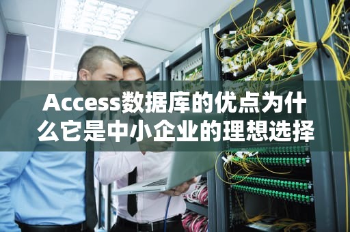 Access数据库的优点为什么它是中小企业的理想选择