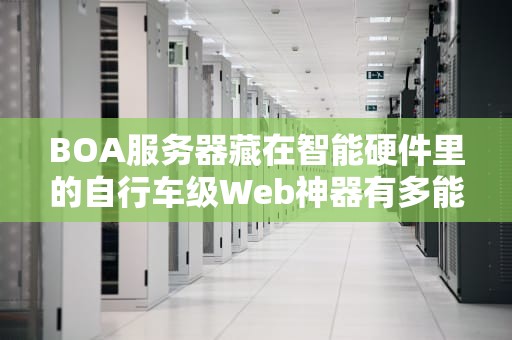 BOA服务器藏在智能硬件里的自行车级Web神器有多能打？