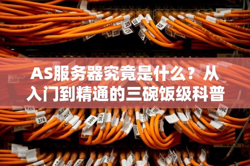 AS服务器究竟是什么？从入门到精通的三碗饭级科普