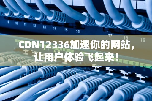 CDN12336加速你的网站，让用户体验飞起来！