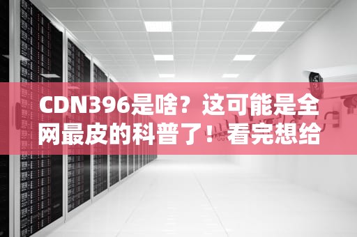 CDN396是啥？这可能是全网最皮的科普了！看完想给程序员送奶茶
