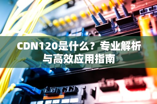 CDN120是什么？专业解析与高效应用指南