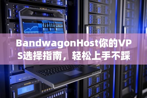 BandwagonHost你的VPS选择指南，轻松上手不踩坑！