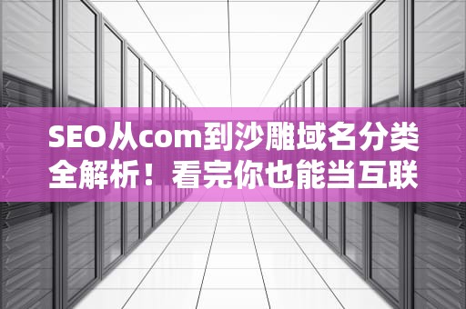 SEO从com到沙雕域名分类全解析！看完你也能当互联网门牌号老司机