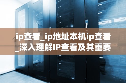 ip查看_ip地址本机ip查看_深入理解IP查看及其重要性