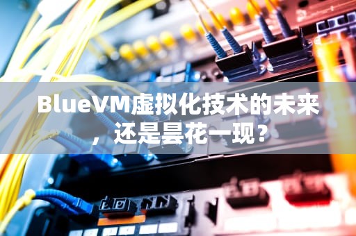 BlueVM虚拟化技术的未来，还是昙花一现？