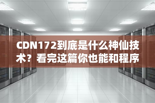 CDN172到底是什么神仙技术？看完这篇你也能和程序员Battle了！