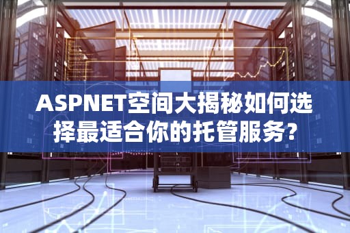 ASPNET空间大揭秘如何选择最适合你的托管服务？