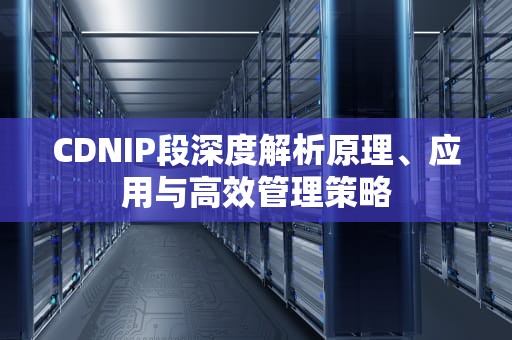 CDNIP段深度解析原理、应用与高效管理策略