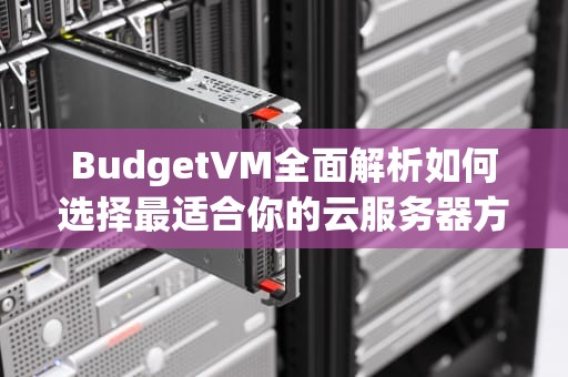 BudgetVM全面解析如何选择最适合你的云服务器方案