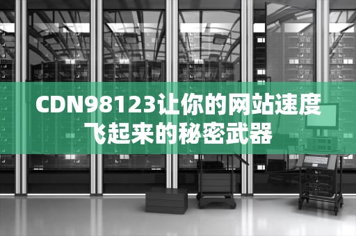 CDN98123让你的网站速度飞起来的秘密武器