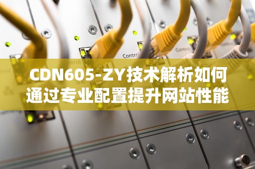 CDN605-ZY技术解析如何通过专业配置提升网站性能与安全