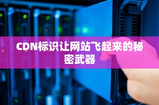 CDN标识让网站飞起来的秘密武器