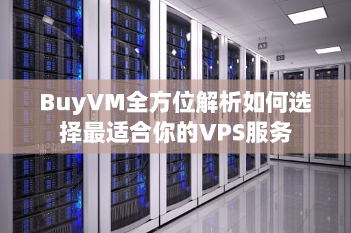 BuyVM全方位解析如何选择最适合你的VPS服务