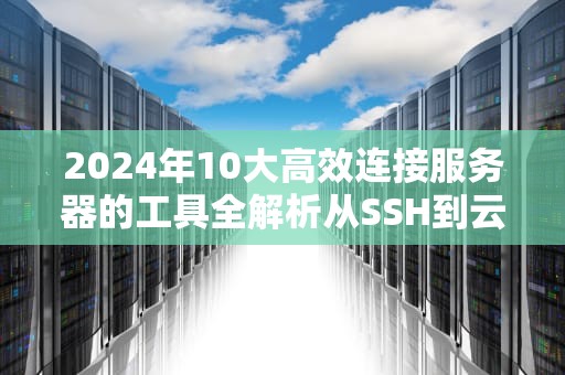2024年10大高效连接服务器的工具全解析从SSH到云平台实战指南