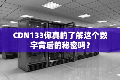CDN133你真的了解这个数字背后的秘密吗？