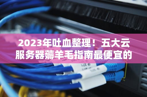 2023年吐血整理！五大云服务器薅羊毛指南最便宜的不一定最适合你