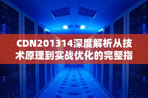 CDN201314深度解析从技术原理到实战优化的完整指南