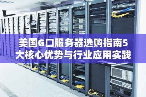 美国G口服务器选购指南5大核心优势与行业应用实践解析