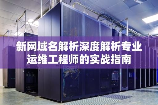 新网域名解析深度解析专业运维工程师的实战指南