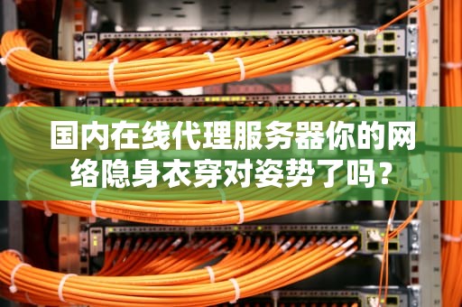 国内在线代理服务器你的网络隐身衣穿对姿势了吗？