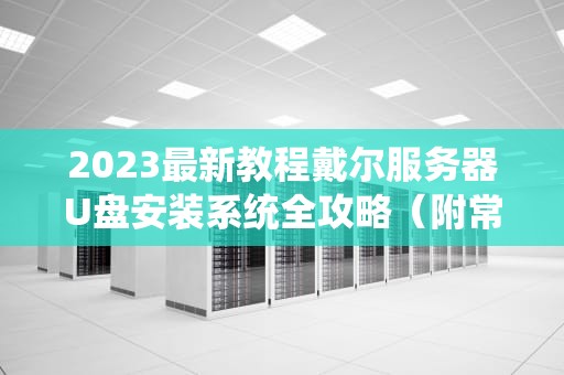 2023最新教程戴尔服务器U盘安装系统全攻略（附常见问题解决）