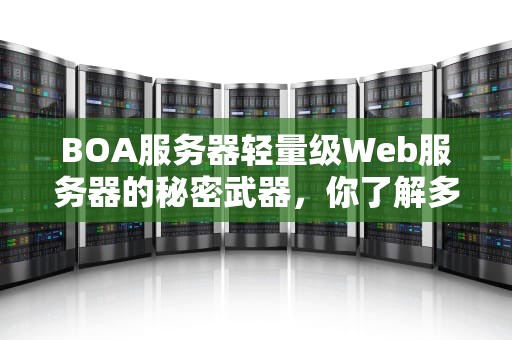 BOA服务器轻量级Web服务器的秘密武器，你了解多少？