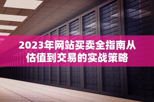 2023年网站买卖全指南从估值到交易的实战策略