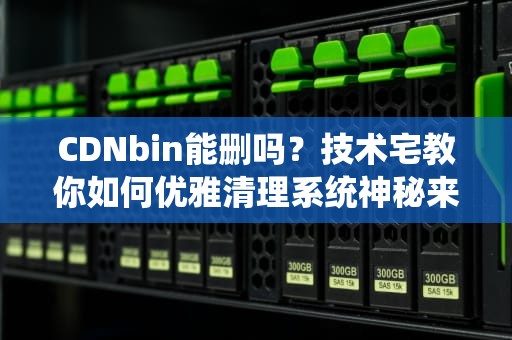CDNbin能删吗？技术宅教你如何优雅清理系统神秘来客