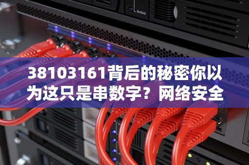 38103161背后的秘密你以为这只是串数字？网络安全专家笑了！