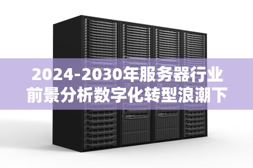 2024-2030年服务器行业前景分析数字化转型浪潮下的黄金赛道